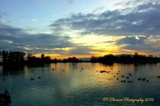 Jensen Pond Sunset 10-13-2016.jpg