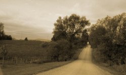 DSC02672-2.jpg