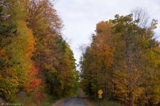 scenery (49 of 70).jpg