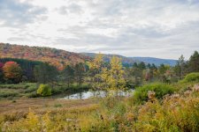 scenery (52 of 70).jpg
