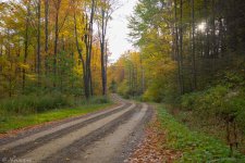 scenery my road).jpg