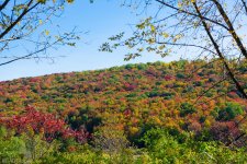 scenery (6 of 70).jpg