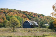 scenery (8 of 70).jpg