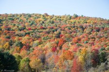 scenery (11 of 70).jpg