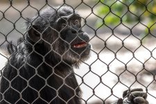 Chattanooga Zoo--9.jpg