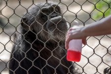 Chattanooga Zoo--10.jpg