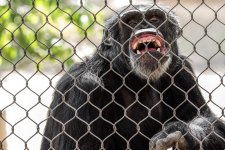 Chattanooga Zoo--11.jpg