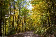 scenery (1 of 70).jpg