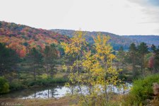 scenery (53 of 70).jpg