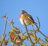 DSCN4535.jpg
