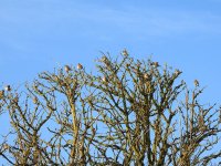 DSCN4543.jpg