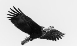 DSC_5176-2.jpg