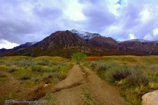 Ben Lomond #3 10-17-2016.jpg