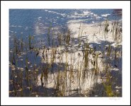 DSC_6201.jpg