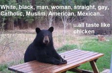bearchicken.jpg