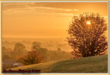 Morning Walk-6081-Edit.jpg