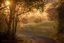 Morning Walk-6091.jpg
