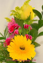 Yellow Gerbera Daisy Bouquet 10-20-2016.jpg