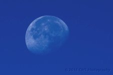 10-19-16-cr__D7K4721.jpg