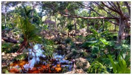 10-21-16 Arboretum HDR    6.1sm.jpg