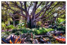 10-21-16 Arboretum HDR    3sm.jpg