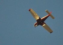 ROY_2240.jpg