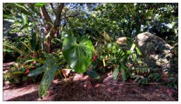 10-21-16 Arboretum HDR    8sm.jpg