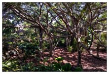 10-21-16 Arboretum HDR    10sm.jpg