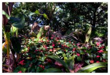 10-21-16 Arboretum HDR    9sm.jpg
