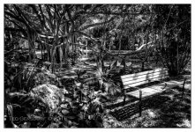 10-21-16 Arboretum HDR    7BWsm.jpg