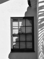 Window.jpg
