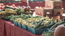 Chattanooga Farmers Market-3591.jpg