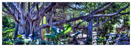10-21-16 Arboretum HDR    19sm.jpg