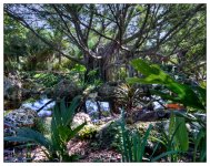 10-21-16 Arboretum HDR    18sm.jpg