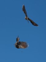 untitled-1-1208.jpg