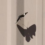 untitled-1-1200.jpg