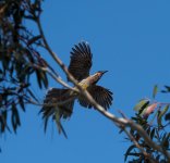 untitled-1-1209.jpg