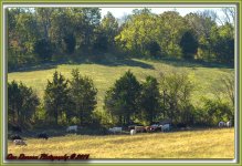 Mail Run-6392-Edit.jpg