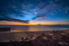 20160529-SHM_1148-Edit.jpg