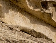 Squirrel on Rock in City of Rocks 10-23-2016.jpg