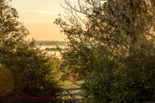 Fog at Sunrise-6408-1.jpg