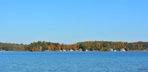 DSC_0011 nxd.jpg
