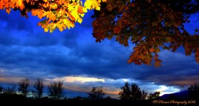 Sunrise #6 10-25-2016.jpg
