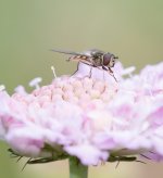 untitled-1-1220.jpg