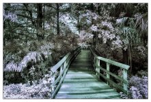 10-25-16 Tradewinds IR     1.2sm.jpg