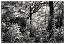 10-25-16 Tradewinds IR     2sm.jpg