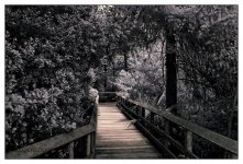 10-25-16 Tradewinds IR     3.1sm.jpg