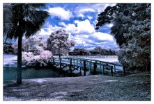 10-25-16 Tradewinds IR     4.1sm.jpg
