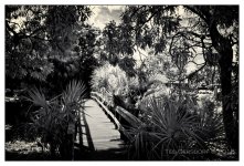 10-25-16 Tradewinds IR     6.1sm.jpg