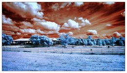 10-25-16 Tradewinds IR     7.1.jpg